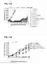 Fig. 24 - E1 ENZYME MUTANTS AND USES THEREOF