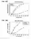Fig. 31 - E1 ENZYME MUTANTS AND USES THEREOF