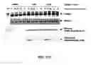 Fig. 36 - E1 ENZYME MUTANTS AND USES THEREOF