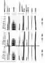 Fig. 37 - E1 ENZYME MUTANTS AND USES THEREOF