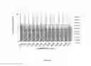 Fig. 04 - Broad range gene and genotype papillomavirus transcriptome as a biomarker of papillomavirus-associated cancer stages
