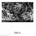Fig. 07 - Nonwovens having aligned segmented fibers