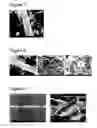 Fig. 04 - Complexes of calcium carbonate microparticles and fibers as well as processes for preparing them