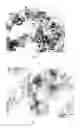 Fig. 05 - Substantially dry composite comprising a nanofibrillated polysaccharide