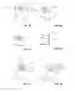 Fig. 14 - Sealing device and fastening means