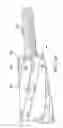 Fig. 11 - Durable dart plunger