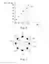 Fig. 06 - System and method for drilling fluid parameters detection