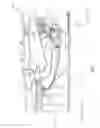 Fig. 04 - ROTOR SEAL AND ROTOR THRUST BALANCE CONTROL