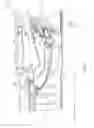 Fig. 05 - ROTOR SEAL AND ROTOR THRUST BALANCE CONTROL