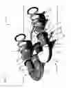 Fig. 03 - Mounting plate for mounting injectors and directing reductant flow in exhaust conduits