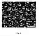 Fig. 08 - Cylinder liner