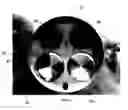 Fig. 15 - Lean burn internal combustion engine