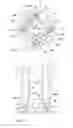 Fig. 04 - Dual fuel fuel-injector