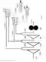 Fig. 05 - Actuation method and efficiency