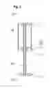 Fig. 03 - Triple pistons cylinder with reduced overall length