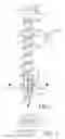 Fig. 03 - SCREW