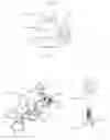 Fig. 06 - Androgynous Clamping System