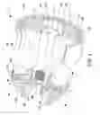 Fig. 05 - Final drive system for a machine
