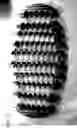Fig. 12 - Means and Methods of Cable Organization