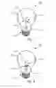 Fig. 05 - Light emitting arrangement for improved cooling
