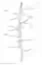 Fig. 01 - Vine lamp and production method thereof