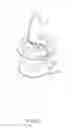 Fig. 05 - Flame simulating device having an oscillating device to vaporize liquid