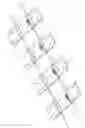 Fig. 01 - Illuminant Comprising an LED