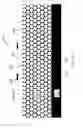 Fig. 43 - Microfluidic-based apparatus and method for vaporization of liquids