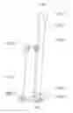 Fig. 08 - Air-cooled refrigerator