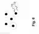 Fig. 07 - Fiber Thermal Interface