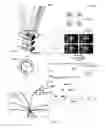 Fig. 40 - Coded localization systems, methods and apparatus