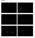 Fig. 20 - HIGH-RESOLUTION THREE-DIMENSIONAL IMAGING OF MAMMALIAN HEARTS
