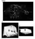 Fig. 22 - HIGH-RESOLUTION THREE-DIMENSIONAL IMAGING OF MAMMALIAN HEARTS