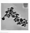 Fig. 04 - Nanoparticles in the shape of nanosnowman with a head part and a body part, a preparation method thereof and a detection method using the same
