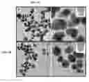 Fig. 05 - Nanoparticles in the shape of nanosnowman with a head part and a body part, a preparation method thereof and a detection method using the same