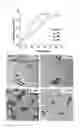Fig. 06 - Nanoparticles in the shape of nanosnowman with a head part and a body part, a preparation method thereof and a detection method using the same