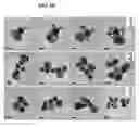 Fig. 10 - Nanoparticles in the shape of nanosnowman with a head part and a body part, a preparation method thereof and a detection method using the same