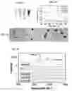 Fig. 11 - Nanoparticles in the shape of nanosnowman with a head part and a body part, a preparation method thereof and a detection method using the same