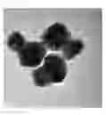 Fig. 12 - Nanoparticles in the shape of nanosnowman with a head part and a body part, a preparation method thereof and a detection method using the same