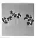 Fig. 13 - Nanoparticles in the shape of nanosnowman with a head part and a body part, a preparation method thereof and a detection method using the same