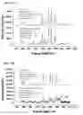 Fig. 14 - Nanoparticles in the shape of nanosnowman with a head part and a body part, a preparation method thereof and a detection method using the same