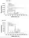 Fig. 16 - Nanoparticles in the shape of nanosnowman with a head part and a body part, a preparation method thereof and a detection method using the same
