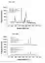 Fig. 18 - Nanoparticles in the shape of nanosnowman with a head part and a body part, a preparation method thereof and a detection method using the same