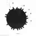 Fig. 04 - IDENTIFICATION OF BIOLOGICAL SAMPLES