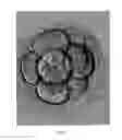 Fig. 05 - IDENTIFICATION OF BIOLOGICAL SAMPLES