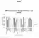 Fig. 05 - Array and Method of Use
