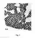 Fig. 03 - Dissolution-enhanced time-resolved fluoroimmunoassay based on rare earth nanomaterial