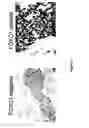 Fig. 04 - FOXC1 ANTIBODIES AND METHODS OF THEIR USE