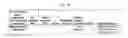 Fig. 42 - METHODS AND SYSTEMS OF USING EXOSOMES FOR DETERMINING PHENOTYPES