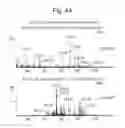 Fig. 12 - Analysis of complex biological matrices through targeting and advanced precursor and product ion alignment
